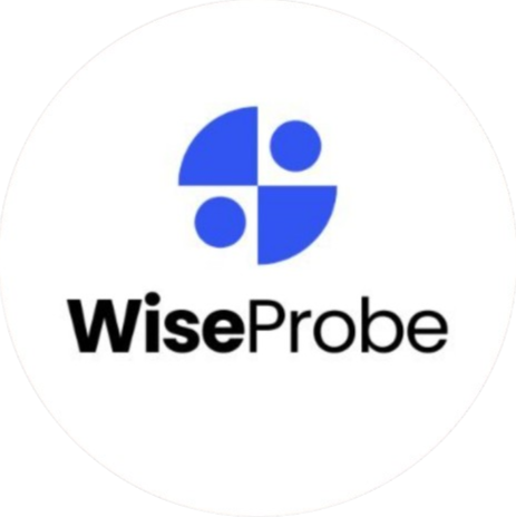 WiseProbe